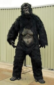 Inattentional blindness revealed: The Invisible Gorilla Test https://en.wikipedia.org/wiki/Gorilla_suit#/media/File:Gorilla_suit_1.jpg CC BY 2.0
