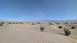 The Mojave Desert.